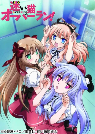 Нашествие бродячих кошек! Нашествие бродячих кошек!